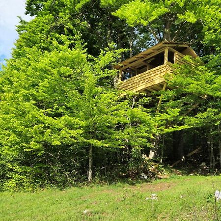 Apartments Matovina Saborsko エクステリア 写真