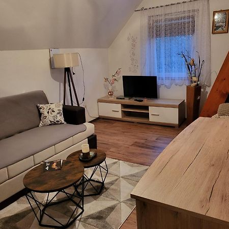 Apartments Matovina Saborsko エクステリア 写真