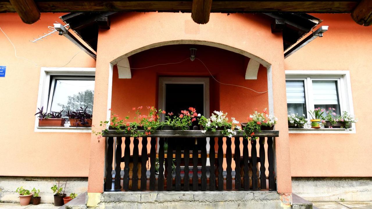 Apartments Matovina Saborsko エクステリア 写真