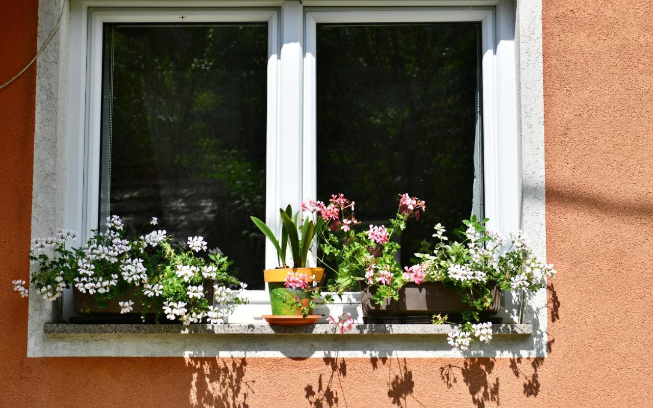 Apartments Matovina Saborsko エクステリア 写真